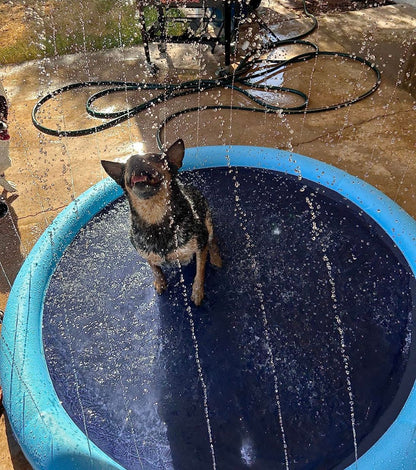 dog pool with sprinkler