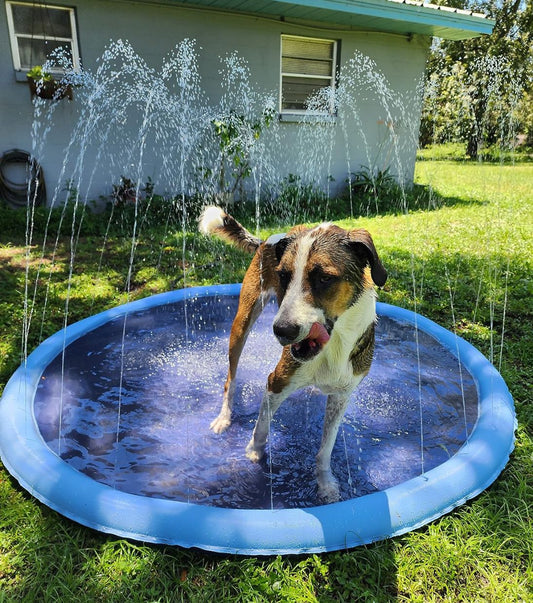 Dog Pool Splash Pad