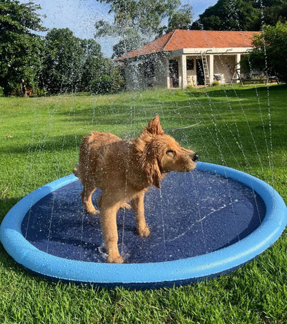 dog splash sprinkler pad