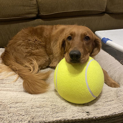 Giant Tennis Ball For Dogs