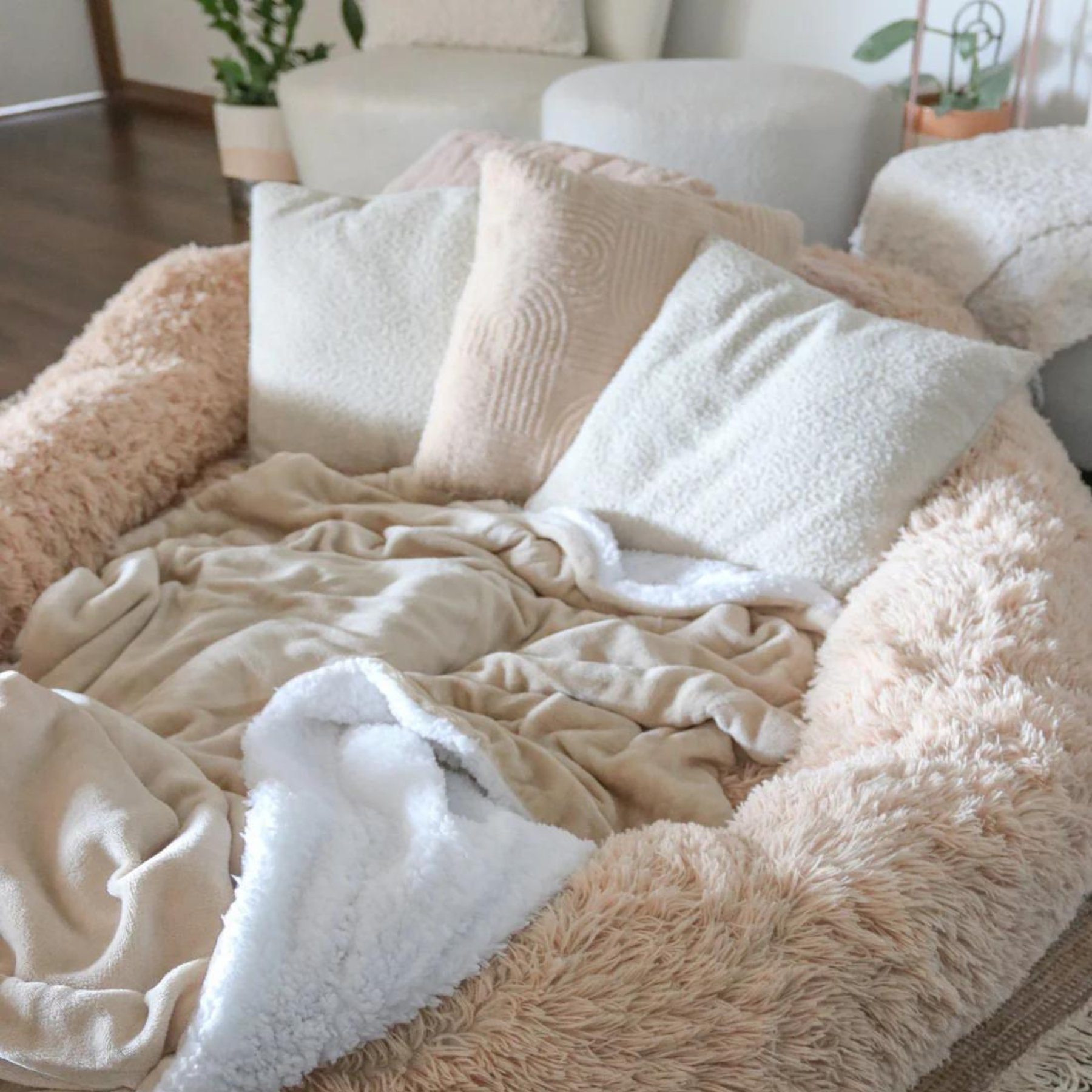 doggie bed for humans	