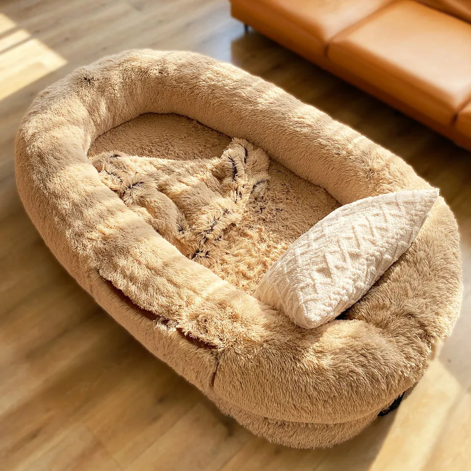 doggie beds for humans	