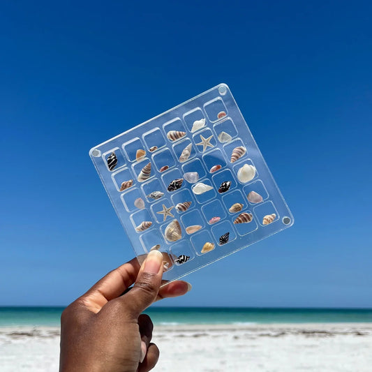 Seashell Display Case
