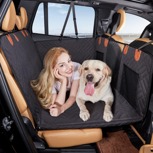 doggy car seat